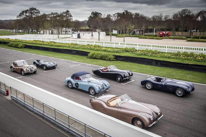 jag_mille_miglia_2014_line-up_image_280414_01.jpg