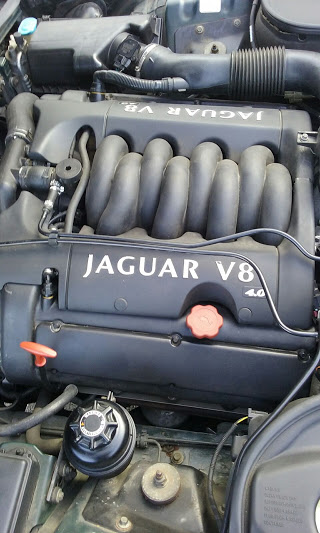 jaguar8.jpg