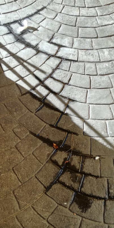 IMG_20190112_201240.jpg (1.97 MiB) Visto 5656 veces Mancha de aceite