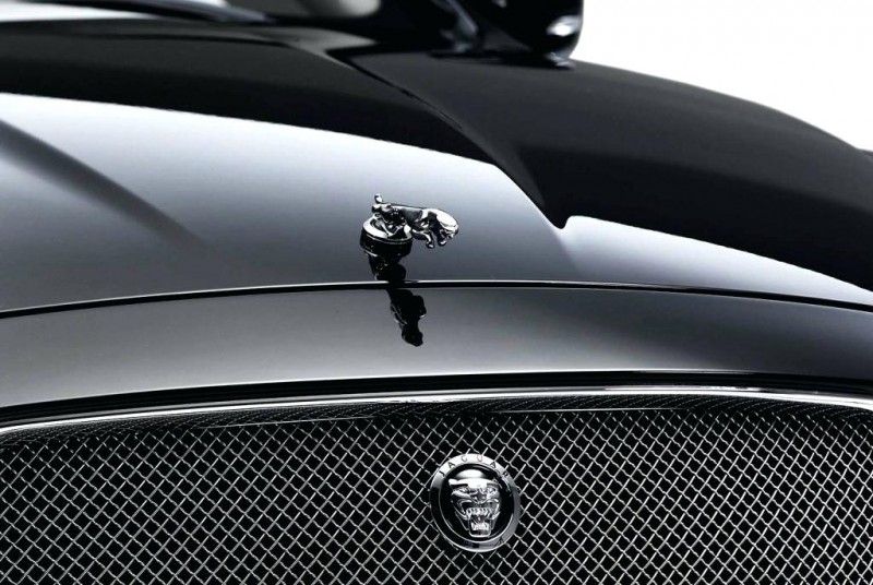 jaguar-leaper-f-type-bonnet-mascot-lifelong-corrosion-warranty-decal.jpg