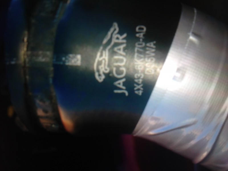 image.jpeg