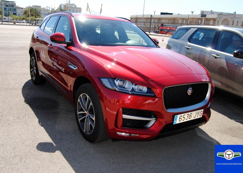 DSC_1383.jpg (1.25 MiB) Visto 111119 veces DSC_1383.jpg